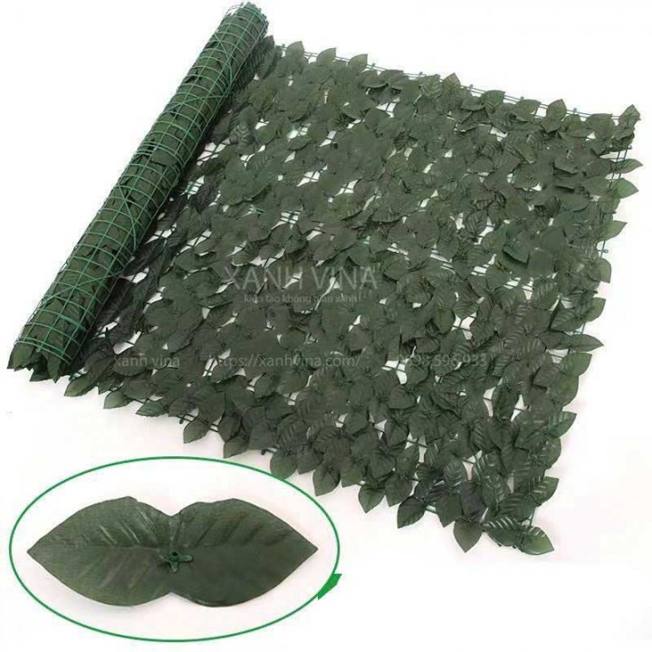 Hàng rào lá giả 